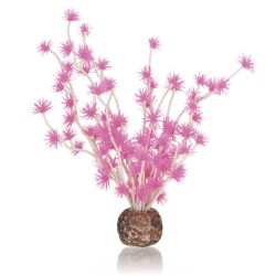 Biorb bonsai ball pink
