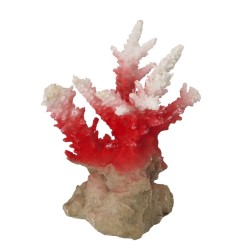 Coral acropora 7x6x10,5cm rouge