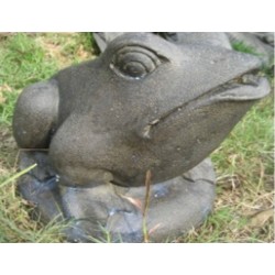 Frog with waterhole / 33 cm