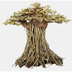 Sf bonsai mushroom large