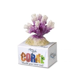 Coral module cauliflower coral s - 8,7x6,5x4,5cm blanc/mauve