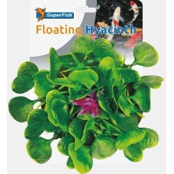 Sf pond déco hyacinth