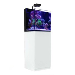 RS Max Nano Peninsula Complet (aqua + meuble) - Blanc